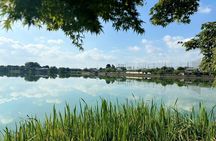 ONLY AUG! Perfect Arashiyama day by E-BIKE in private!