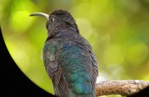 Curicancha Natural Walk 