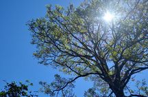 Curicancha Natural Walk 