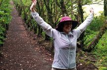 Curicancha Natural Walk