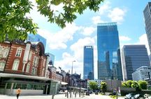 Private Custom Tokyo Tour with a Tokyo Resident Pro Guide By Car