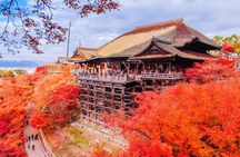 Kyoto and Nara UNESCO Highlights Full-day Tour From Osaka