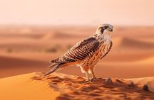 Hot Air Balloon Dubai Exotic Sunrise With Buffet Breakfast