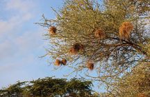 4 Days Mikumi and Nyerere National Park Private Tour