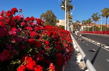 Private Old Town Golden Age Valencia Tour