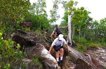 Dragon Crest Sunrise Hike and Klong Root Kayaking Private Tour