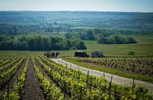 Private Tour of a Wine Estate and Tasting in Trélou-sur-Marne