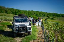 Private Tour of a Wine Estate and Tasting in Trélou-sur-Marne