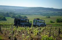 Private Tour of a Wine Estate and Tasting in Trélou-sur-Marne