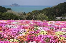 Colors of Japan, Fukuoka Nokonoshima Island Park & Wagyu BBQ