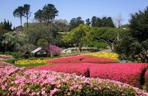 Colors of Japan, Fukuoka Nokonoshima Island Park & Wagyu BBQ