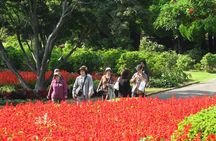 Colors of Japan, Fukuoka Nokonoshima Island Park & Wagyu BBQ