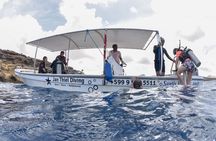 2 Tank Guided Boat Dive in Curacao 