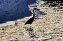Fall/Winter Destin Harbor Sightseeing Cruise