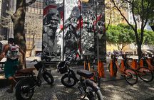 E-Bike Tour of Rio de Janeiro's Historic Center and Ipanema