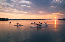 Guided Stand Up Paddleboarding Activity in Hilton Head Island