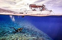 Double Diving Adventure Exploration for Certified Divers