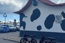 Oranjestad Culture Heritage and Coastal Electric Bike Experience