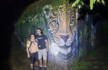 Turtle Tour
