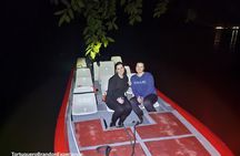 Turtle Tour