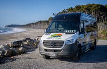 Queenstown to Franz Josef via Wanaka Small Group Day Tour (1-Way)