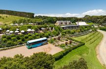 Waiheke Island Hop-On Hop-Off Explorer Bus
