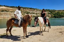 Horseback Trail Riding - Private Tour from Belgrade, Small Group