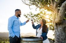 Taste of Waiheke Food and Wine Tour