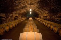 Cajon Del Maipo with Lunch and Visit to One Winery