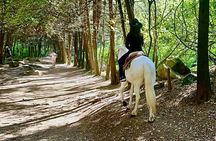 Ride Horses, Learn to Cook with Locals in Mexico City