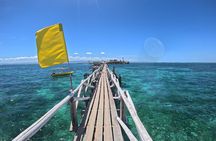 From Cebu: Island Hopping to 3 islands with BBQ lunch