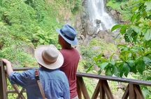Dominica Waterfalls Full Day Private Expedition @ AUTOP TOURS