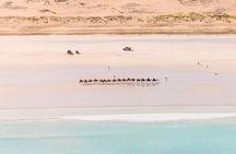 Broome's Creeks & Coast: 45-Minute Scenic Helicopter Flight