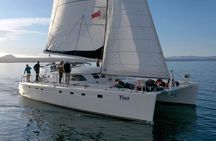 Luxury Sailing - Māori Rock Carvings - Taupo Sailing Adventures