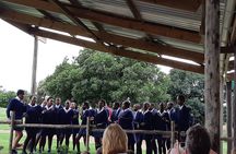 Private Traditional Cuisine in the Emerald Vale Brewery