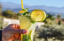 Private Anima Garden & Andre Heller Art and Ourika valley Lunch