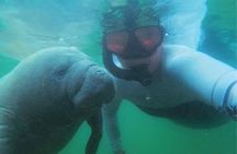 Private Manatee Swim Crystal River FL 6 Passenger Max Free Photos