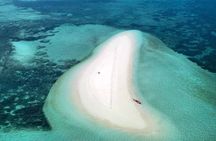 Private Pungume sandbank beach &feeding,swimming with seaturtles 