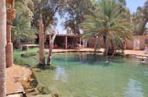 Private Day Trip to Ksar Ghilane with Lunch