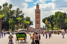 Half-Day Marrakech Highlights: Medina, Palaces, and More