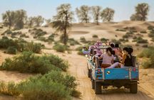 Dubai: Heritage Desert Safari in Vintage Land Rover with Dinner