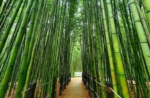 Ulsan Full Day Private Car Tour from Busan with a Certified Guide