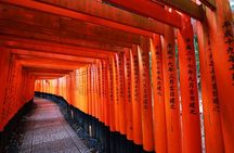Kyoto: Private City Highlights Tour by Car