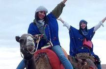 Marrakech day trip to DESERT for CAMEL ride, ATV, DINNER, SHOW 