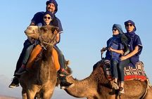 Marrakech day trip to DESERT for CAMEL ride, ATV, DINNER, SHOW 