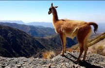 4X4 tour Villavicencio Puente del Inca