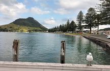 Mount Maunganui Hīkoi Walking Tour