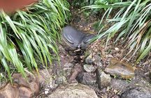 Mount Maunganui Hīkoi Walking Tour