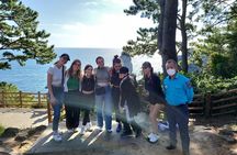 Private Day Tour A lot of Experienced Jumbo Taxi Driver in jeju 