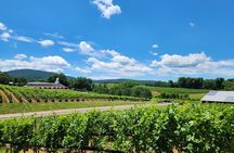 5 Hour Historic Thomas Jefferson Wine Tour